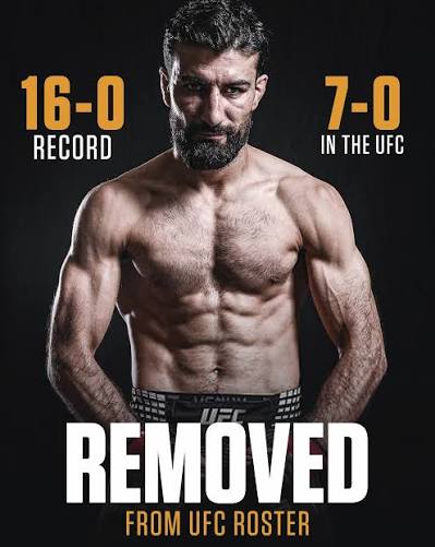 UFC removes undefeated Farid Basharat from roster